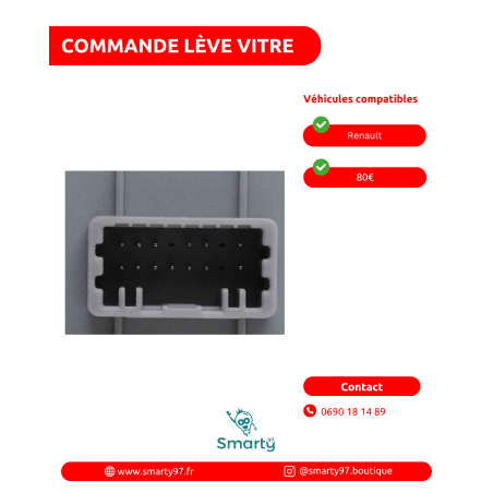 Commande lève-vitre Renault